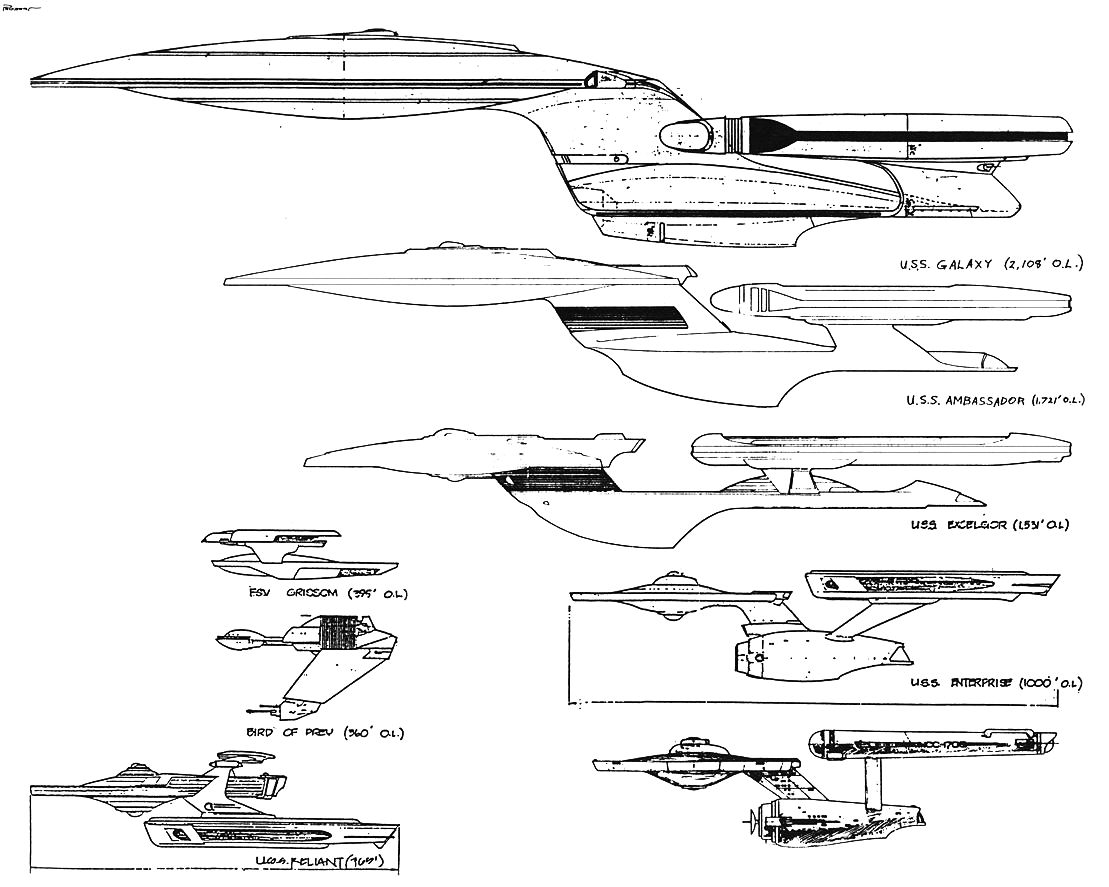 Birds Of Prey Size Chart