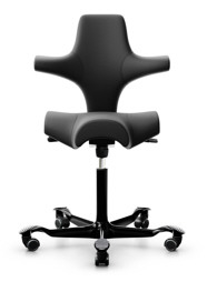 hag-capisco-with-saddle-seat.jpg